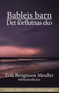 Erik Bengtsson Meuller - Det förflutnas eko, Häftad