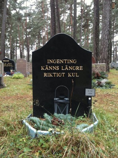 David Wiberg - Ingenting känns längre riktigt kul, Häftad