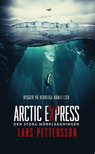 bokomslag Arctic Express : den stora mörkläggningen