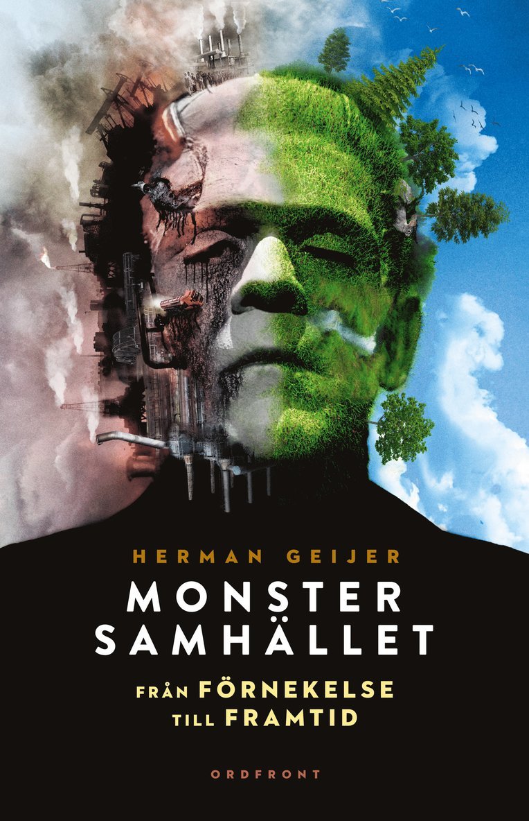 Herman Geijer - Monstersamhället : från förnekelse till framtid, Inbunden