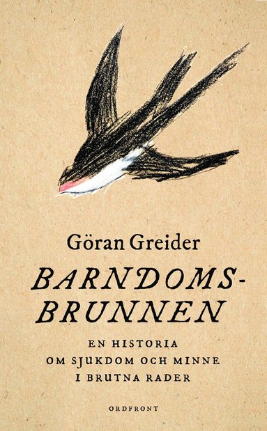 bokomslag Barndomsbrunnen : en historia om sjukdom och minne i brutna rader