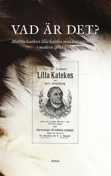 Martin Luther - Vad är det? : Martin Luthers lilla katekes med kort utveckling i modern språkdräkt, Häftad