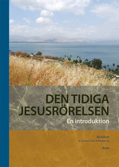 bokomslag Den tidiga Jesusrörelsen : en introduktion