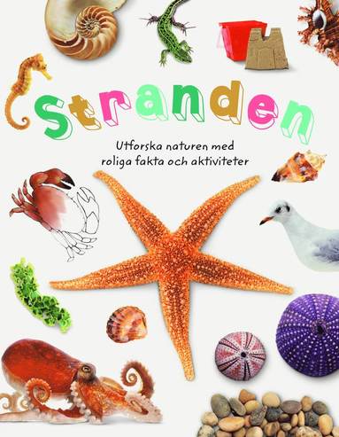bokomslag Stranden : utforska naturen med roliga fakta och aktiviteter