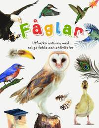 bokomslag Fåglar : utforska naturen med roliga fakta och aktiviteter