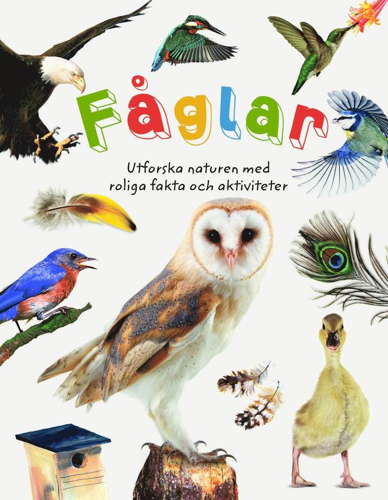 Jill Bailey, David Burnie - Fåglar : utforska naturen med roliga fakta och aktiviteter, Inbunden