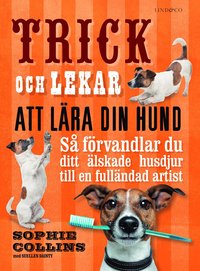 bokomslag Trick och lekar att lära din hund : så förvandlar du ditt älskade husdjur..