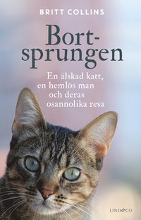 bokomslag Bortsprungen : en älskad katt, en hemlös man och deras osannolika resa