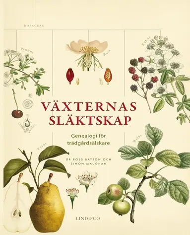 Ross Bayton, Simon Maughan - Växternas släktskap : genealogi för trädgårdsälskare, Inbunden