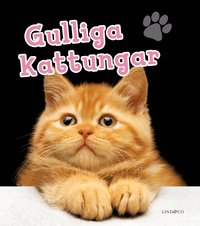 bokomslag Gulliga kattungar