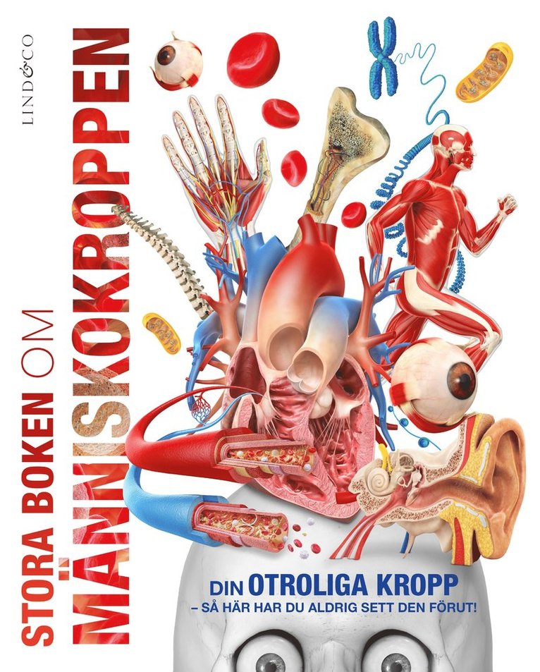 Stora boken om människokroppen, Inbunden