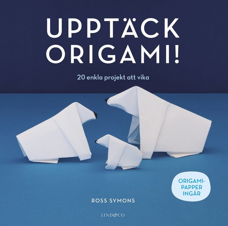 Ross Symons - Upptäck origami! : 20 enkla projekt att vika, Häftad