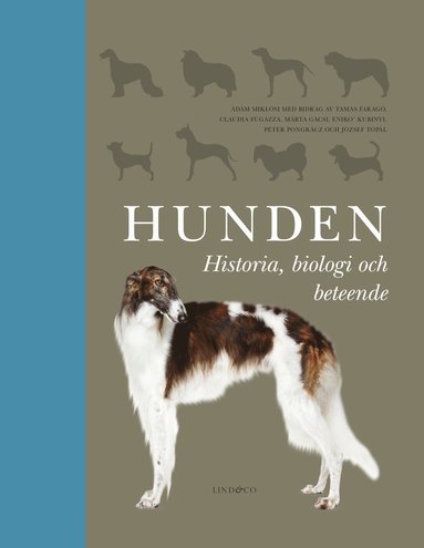 bokomslag Hunden : historia, biologi och beteende