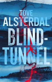 bokomslag Blindtunnel