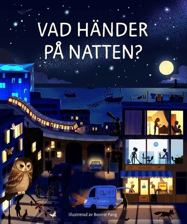 Laura Cowan - Vad händer på natten?, Kartonnage