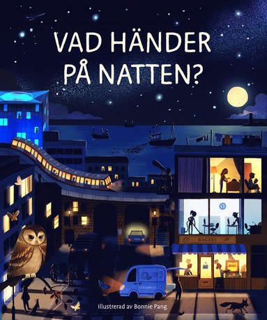 bokomslag Vad händer på natten?