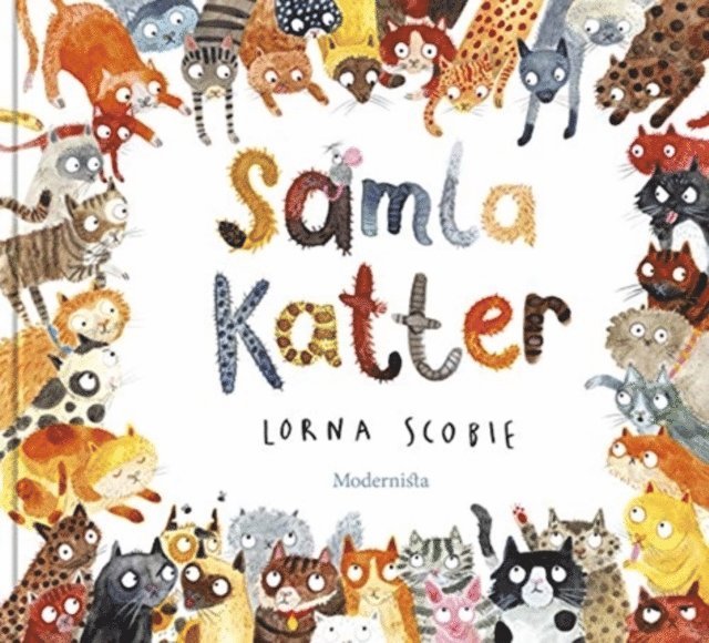 Samla katter 1