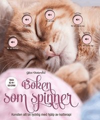 bokomslag Boken som spinner : Konsten att bli lycklig med hjälp av katterapi