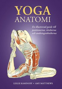 bokomslag Yoga : anatomi