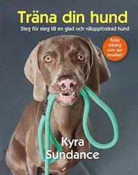 bokomslag Träna din hund: steg för steg till en glad och väluppfostrad hund