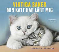 bokomslag Viktiga saker min katt har lärt mig