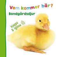 bokomslag Vem kommer här? Bondgårdsdjur - klappa & lyssna