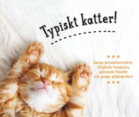 bokomslag Typiskt katter!