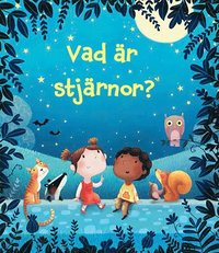 bokomslag Vad är stjärnor?