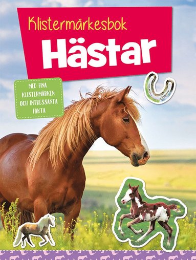 bokomslag Klistermärkesbok : Hästar