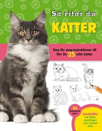 bokomslag Så ritar du katter : Steg för steg-instruktioner till fler än 25 söta katte