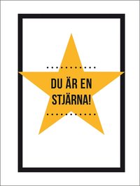 bokomslag Du är en stjärna!