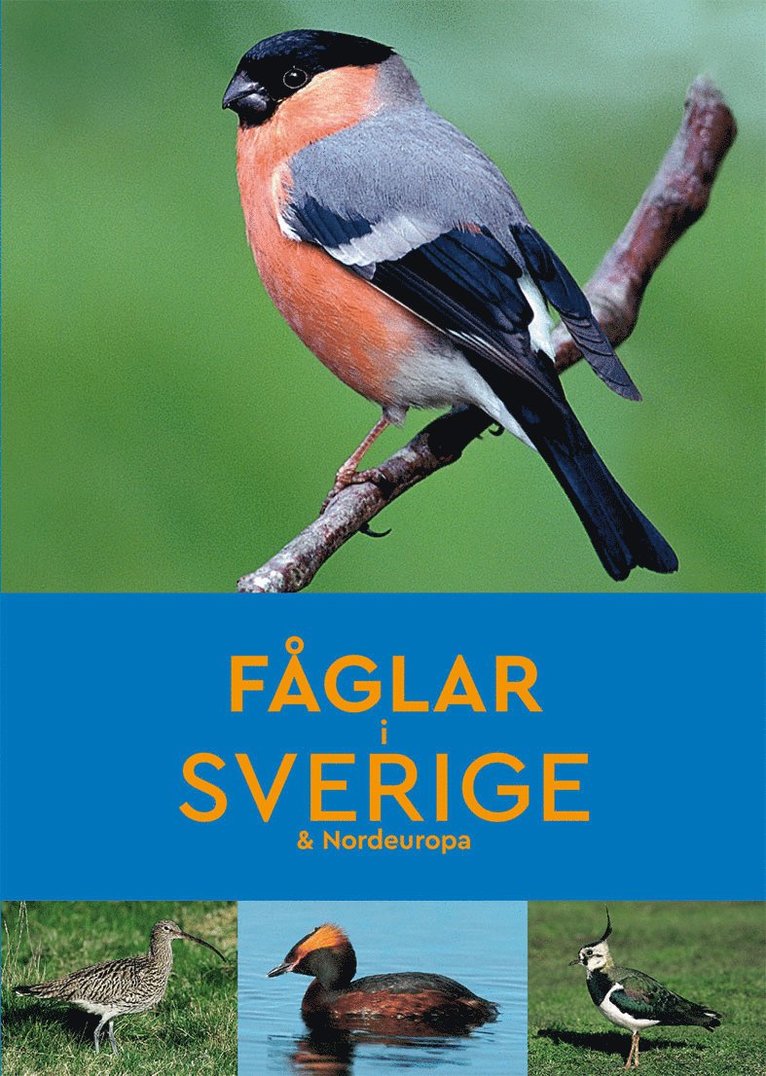 Peter Goodfellow - Fåglar i Sverige & Nordeuropa, Häftad