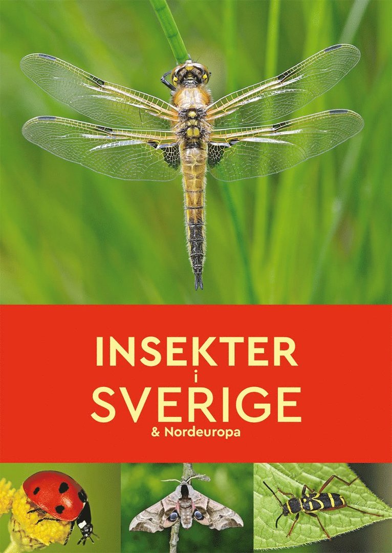 Robert Read - Insekter i Sverige & Nordeuropa, Häftad