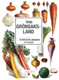 bokomslag Mitt grönsaksland: 35 botaniska planscher att färglägga