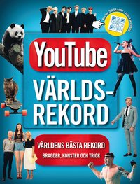 bokomslag Youtube världsrekord