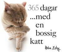 bokomslag 365 dagar med en bossig katt