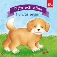 bokomslag Titta och känn. Första orden