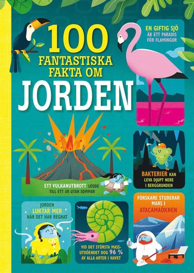 100 fantastiska fakta om jorden u2013 Martin Jerome u2022 Darran Stobbart 