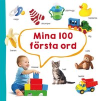 bokomslag Mina 100 första ord