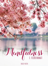 bokomslag Mindfulness i fickformat