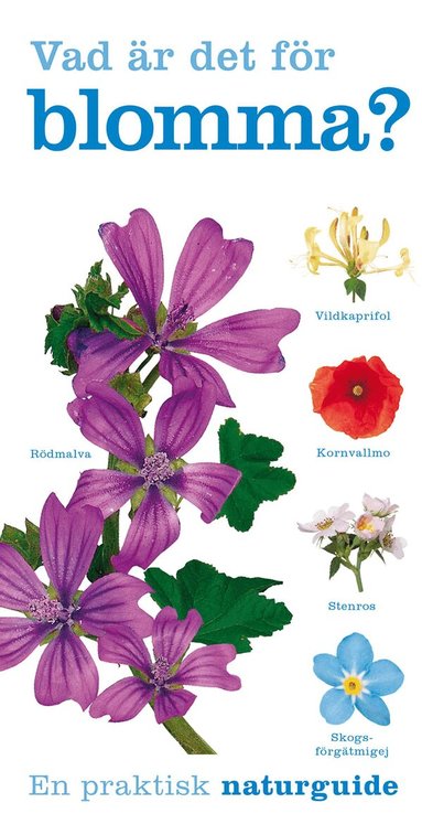 David Burnie - Vad är det för blomma?, Häftad