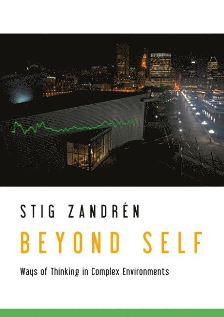 Beyond Self : Ways of Thinking in Complex Environments 1