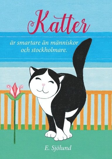 bokomslag Katter är smartare än människor och stockholmare : Katter är smartare än mä