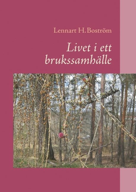 Lennart H. Boström - Livet i ett brukssamhälle : Livet i ett brukssamhälle, Inbunden