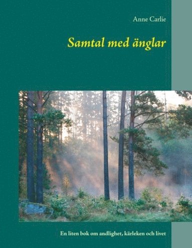 bokomslag Samtal med änglar : En liten bok om andlighet, kärleken och livet