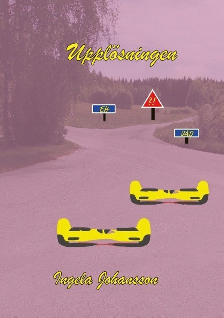 Ingela Johansson - Upplösning, Häftad