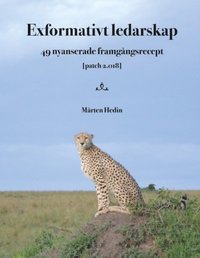 bokomslag Exformativt ledarskap : 49 nyanserade framgångsrecept