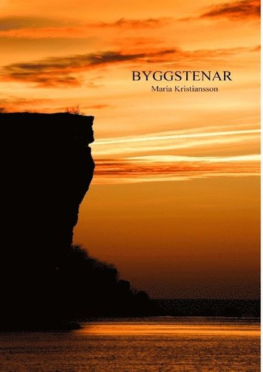 bokomslag Byggstenar