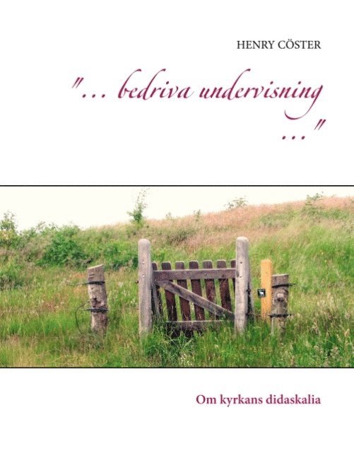 "... bedriva undervisning ...": Om kyrkans didaskalia
