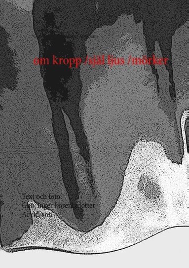 bokomslag om kropp /själ    ljus /mörker : om kropp /själ    ljus /mörker